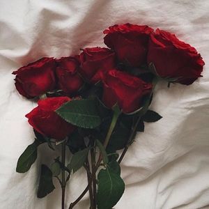 Meet your Posher, Izabella